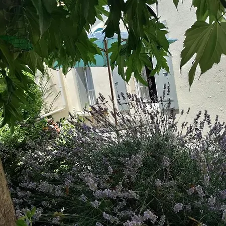 Campagne Et Saint-André-de-Lidon