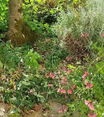 לינה וארוחת בוקר Campagne Et 3*