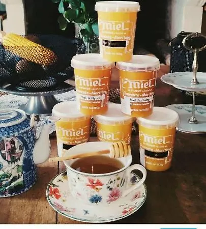 Campagne Et לינה וארוחת בוקר Saint-André-de-Lidon