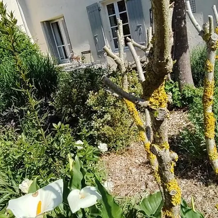 Campagne Et Saint-André-de-Lidon