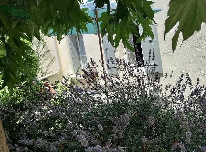 Campagne Et Saint-Andre-de-Lidon