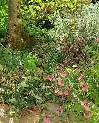 Bed & Breakfast Campagne Et 3*