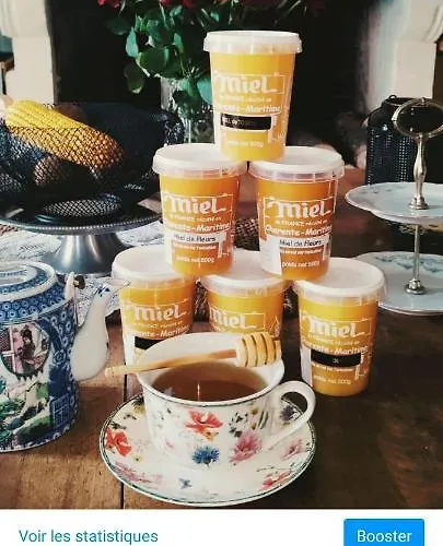 Campagne Et Bed & Breakfast Saint-Andre-de-Lidon