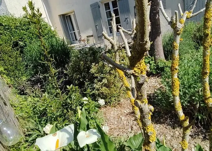 Campagne Et Saint-Andre-de-Lidon